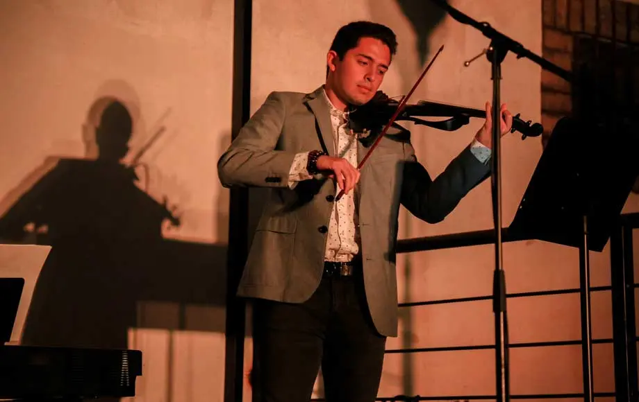 Perfil art&iacute;sitico del m&uacute;sico