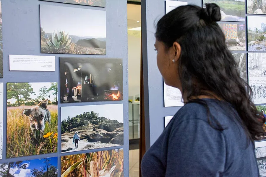 Alumna viendo fotograf&iacute;as en una exposici&oacute;n