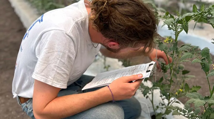 Alumno del Tec de Monterrey en invernaderos en Quer&eacute;taro