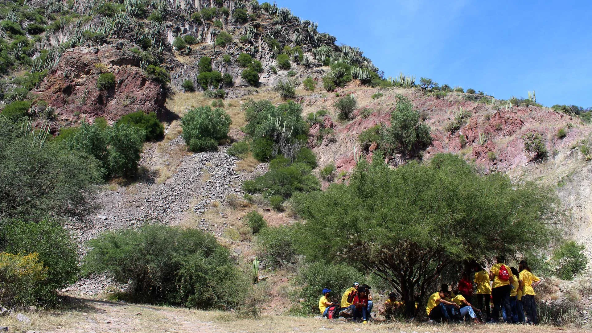Alumnos del Tecnol&oacute;gico de Monterrey en el desierto de El Alberto.