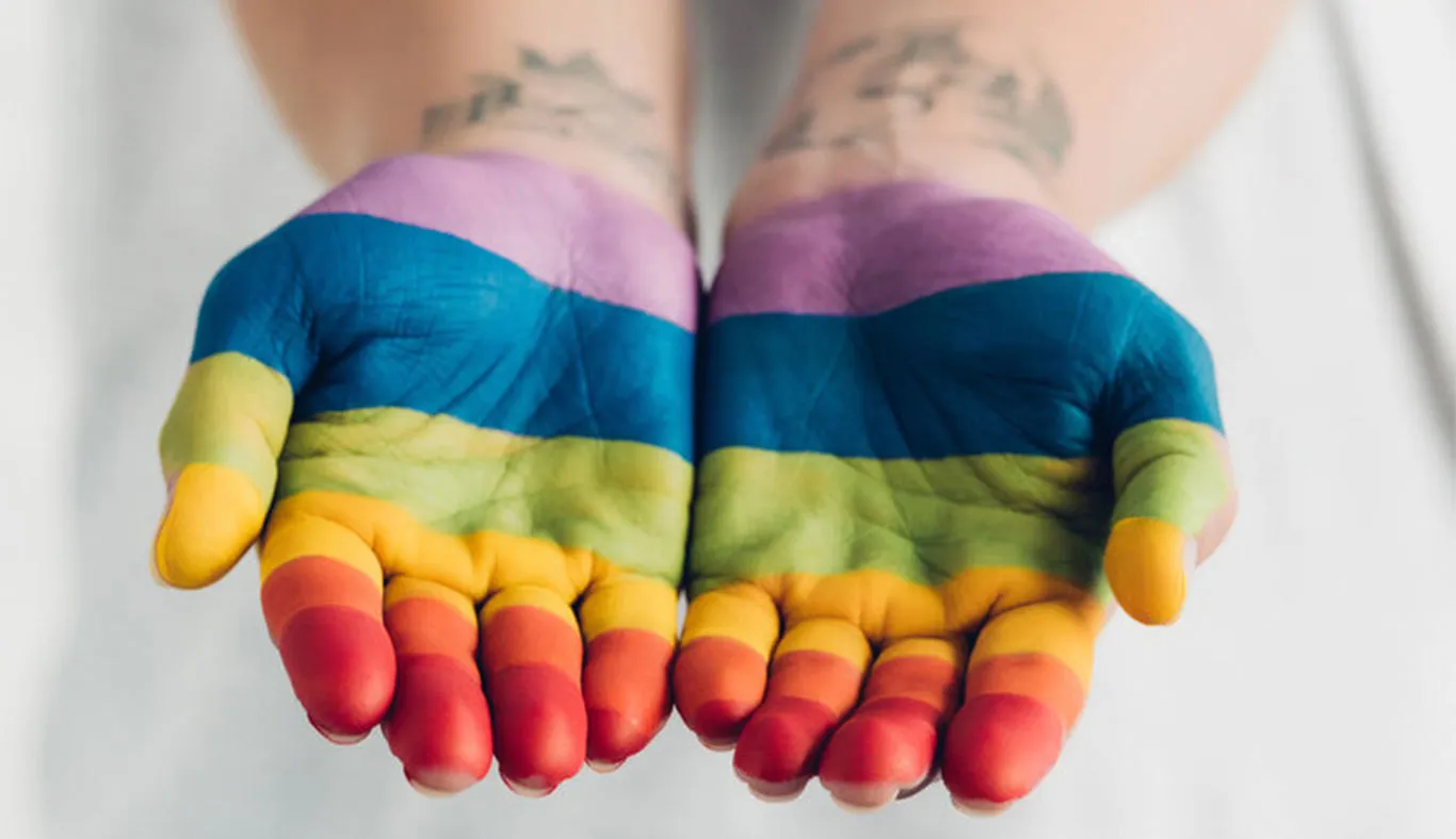 Unidos por la inclusi&oacute;n