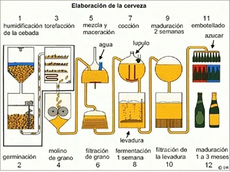 infograf&iacute;a