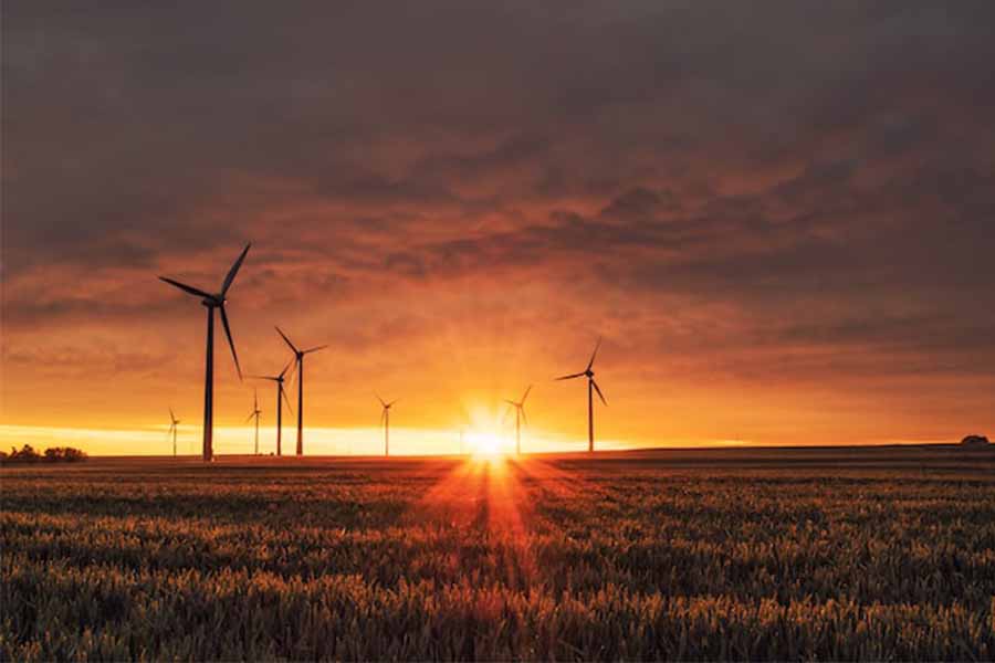 Energ&iacute;a verde con recursos renovables para actividades agr&iacute;colas