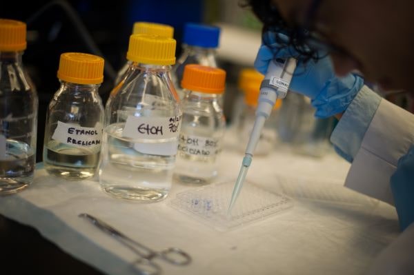 Art&iacute;culos citados TecSalud