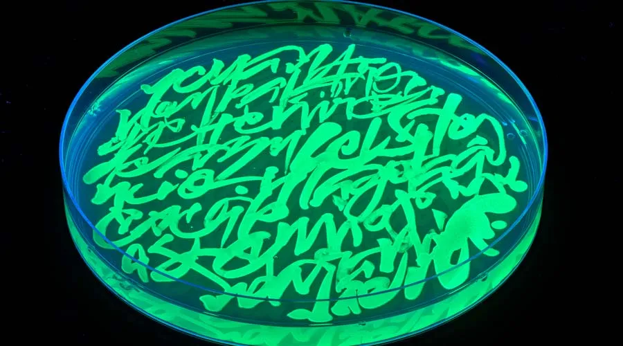 El artista Said Dokins presenta &ldquo;Bio_res_crituras&rdquo;, proyecto en colaboraci&oacute;n con el Tec Quer&eacute;taro que emplea microorganismos como herramientas de escritura