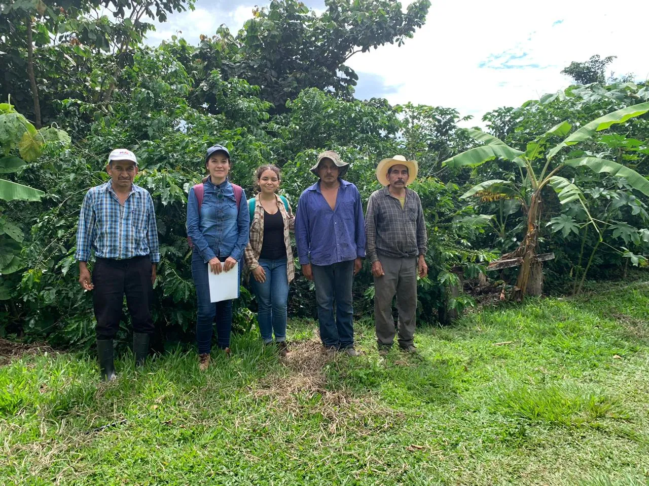 caf&eacute; campo