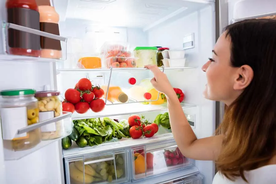 Alimentaci&oacute;n