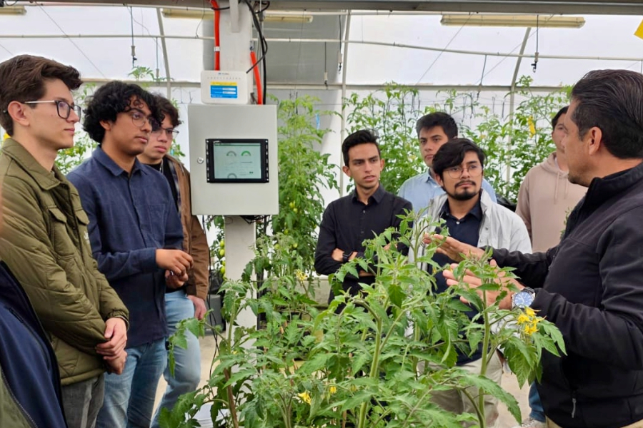 Estudiantes del Tec de Monterrey en un invernadero automatizado por ellos. 