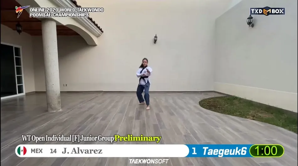 Jimena &Aacute;lvarez realiz&oacute; su presentaci&oacute;n de formas ante jueces internacionales