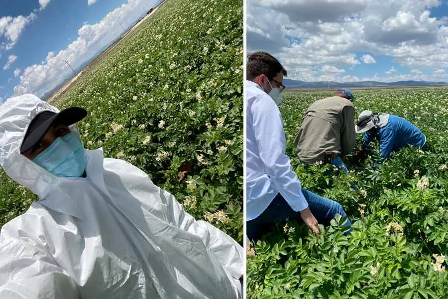 Los EXATEC han trabajado de la mano con agricultores para conocer los desaf&iacute;os y las problem&aacute;ticas que encuentran buscando obtener buenas cosechas.