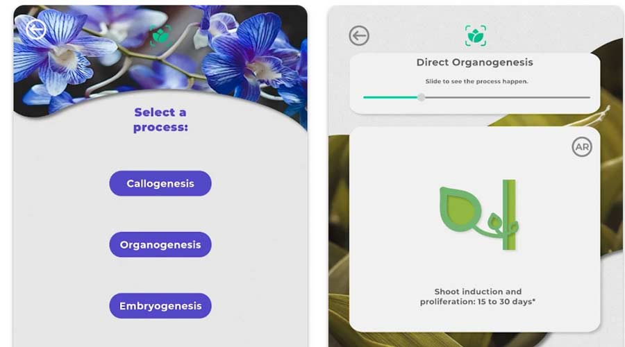 Docente del Tec desarrolla app que ayuda en la ense&ntilde;anza de la biotecnolog&iacute;a 