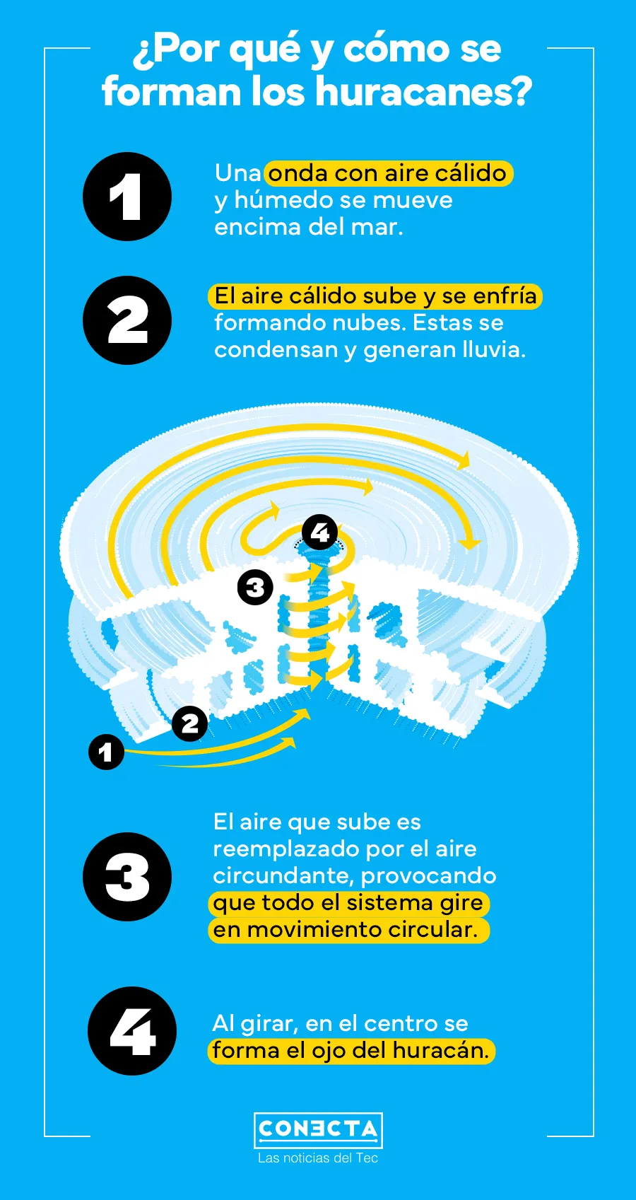 Infograf&iacute;a que muestra c&oacute;mo es el proceso de formaci&oacute;n de un hurac&aacute;n