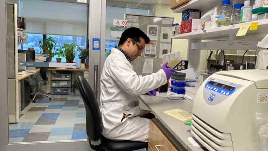 Alumno del Tec trabaja en investigaci&oacute;n m&eacute;dica en Harvard