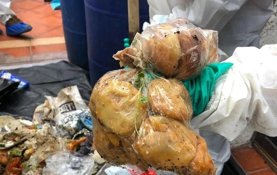 Biotecn&oacute;loga del Tec Guadalajara analiza para Semadet el desperdicio de alimento