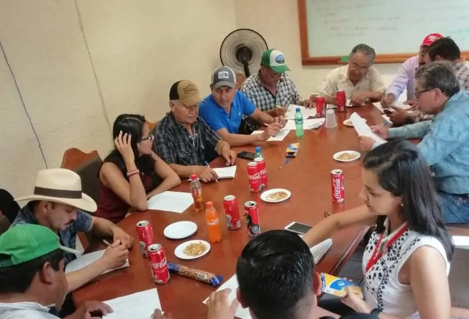 Biotecn&oacute;loga del Tec Guadalajara analiza para Semadet el desperdicio de alimento
