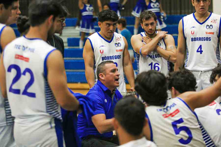 El coach Ojeda trabaja en el dise&ntilde;o del proceso de su equipo