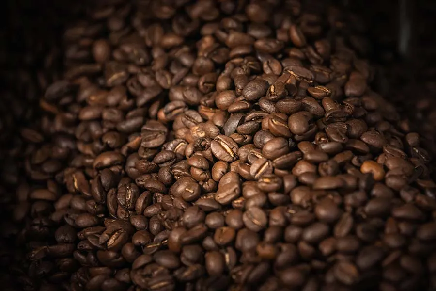 caf&eacute; org&aacute;nico Tziscao