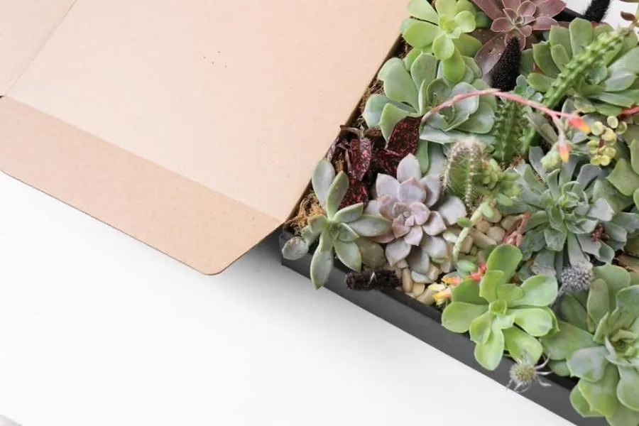Caja para env&iacute;os Mailbox negra con flores como decoraci&oacute;n