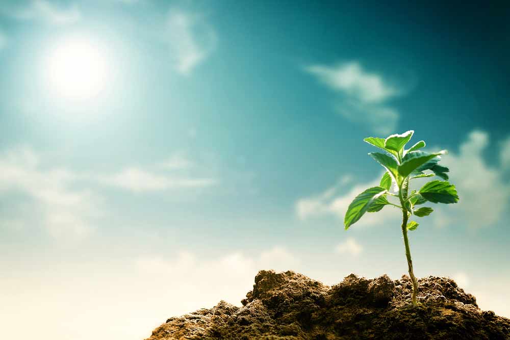 Cambio clim&aacute;tico.