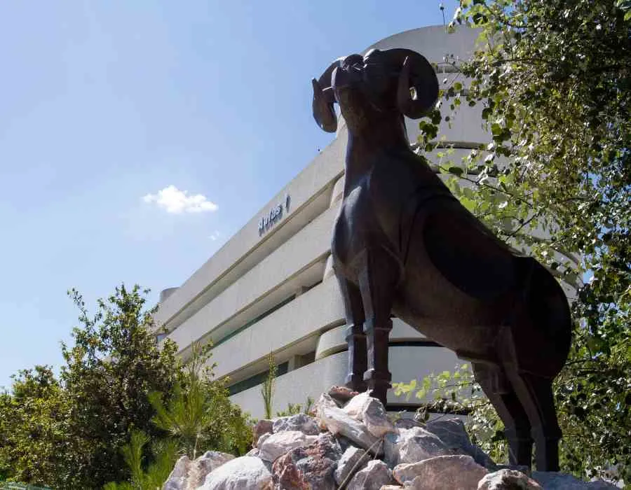 18 a&ntilde;os dejando huella en Puebla