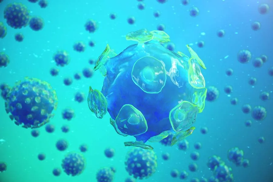 C&eacute;lula infectada.