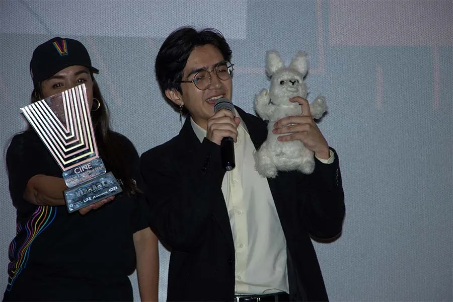 cine de animaci&oacute;n vibrart