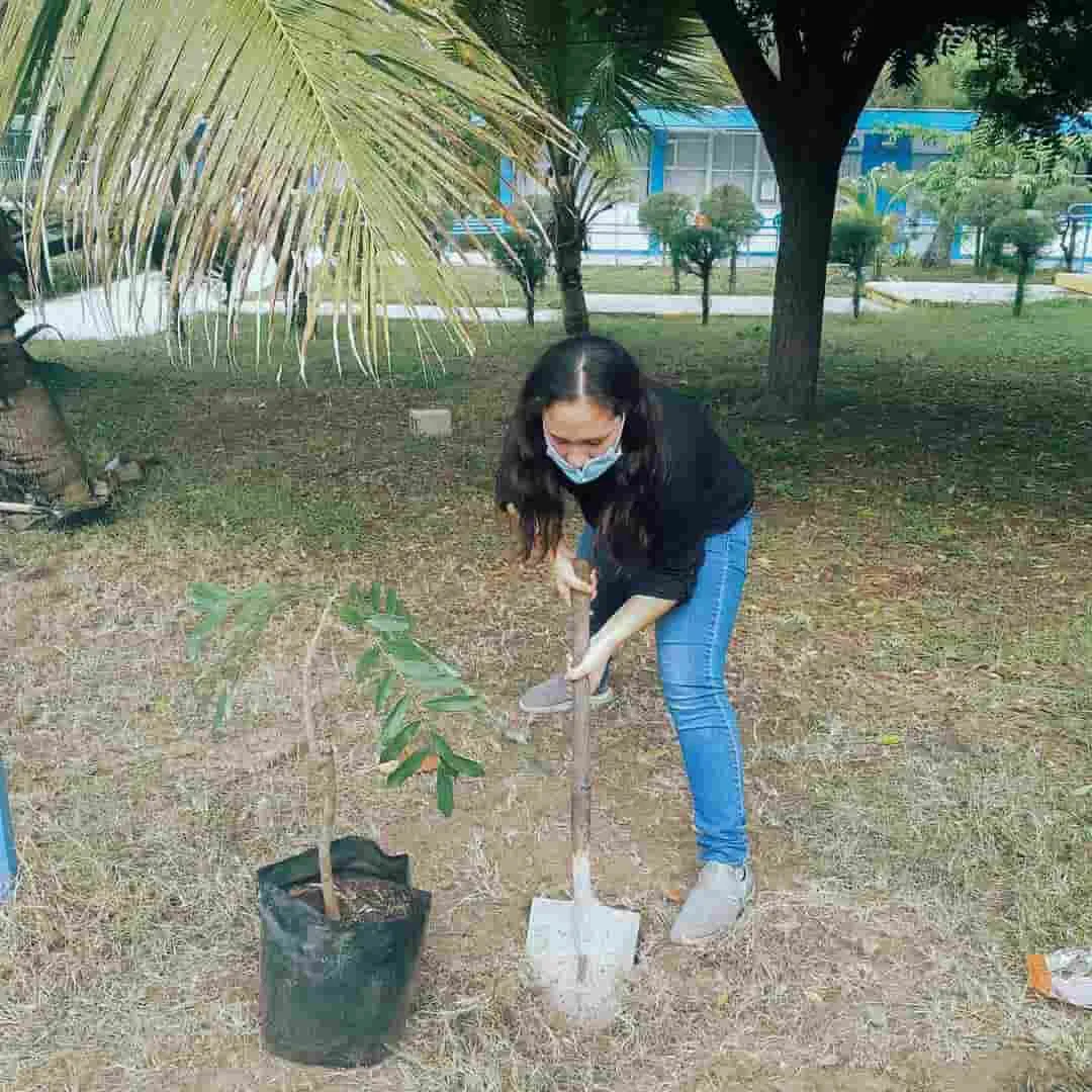 Daniela G&oacute;mez plantando un &aacute;rbol de pistache.