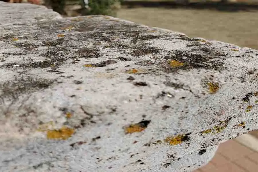 Estado en el que se encuentran en la actualidad los edificios hist&oacute;ricos en Valle de Allende