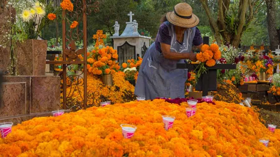 Flores tradicionales del d&iacute;a de muertos