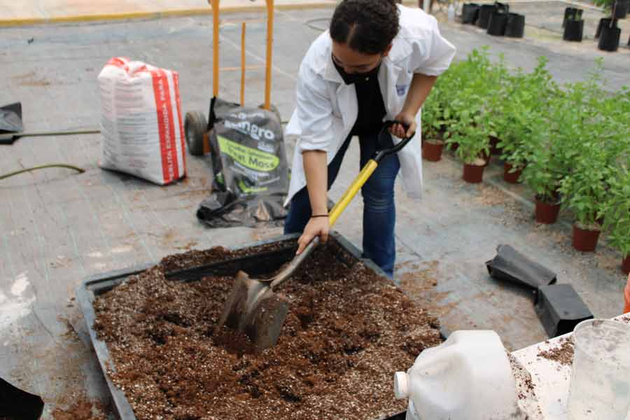 Nora Torres combina ciencia con agricultura.
