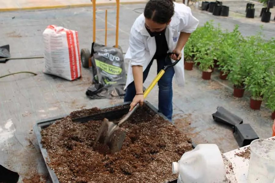 Nora Torres combina ciencia con agricultura. 