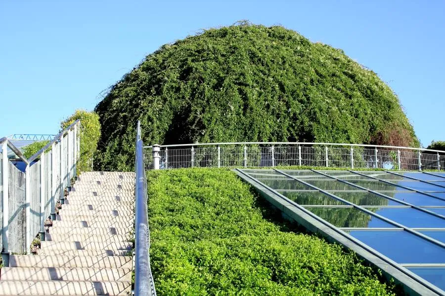 Edificio ecológico con abundante vegetación