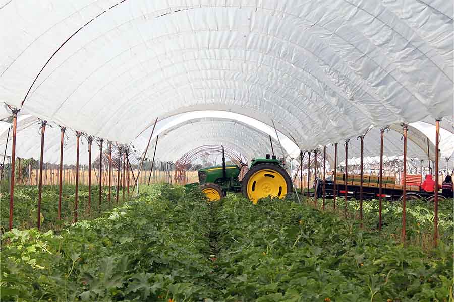 Campo de Agroin