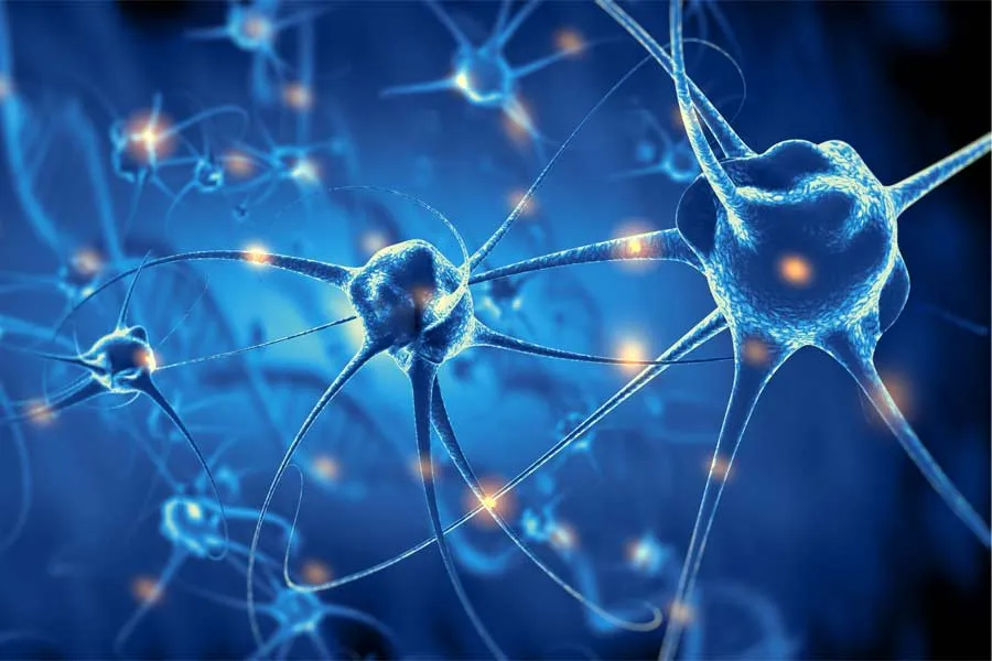 Representaci&oacute;n gr&aacute;fica de las neuronas