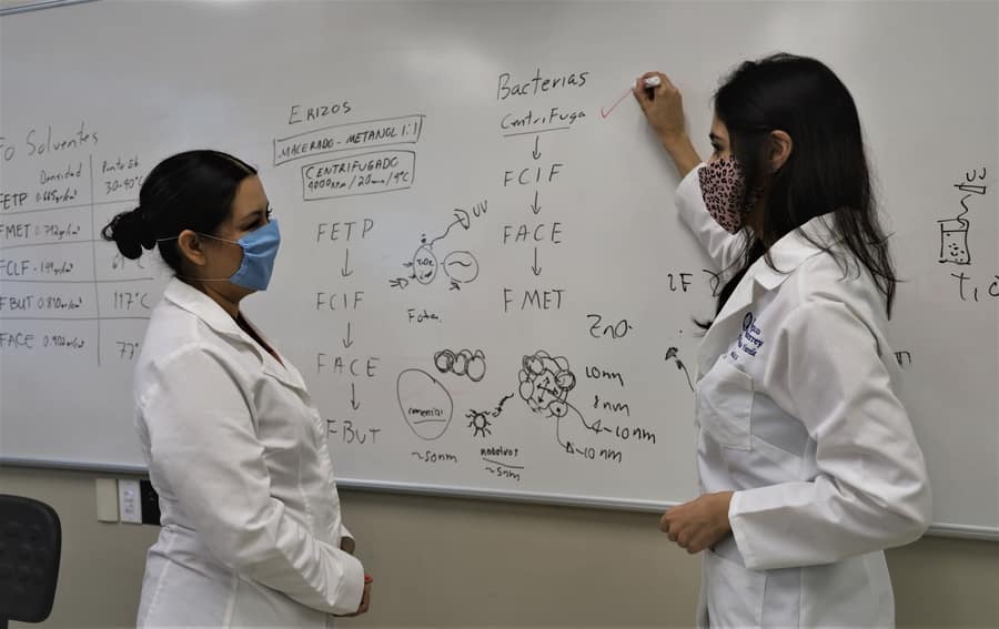 Especialistas Tec buscan validar pruebas para COVID-19 r&aacute;pidas y m&aacute;s baratas