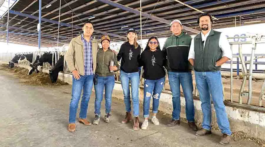 Estudiantes del Tec Campus Quer&eacute;taro trabajando en establo lechero