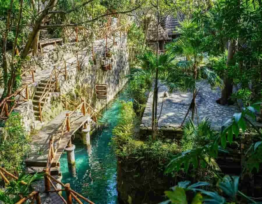 C&aacute;tedra Xurreal, creada por Xcaret