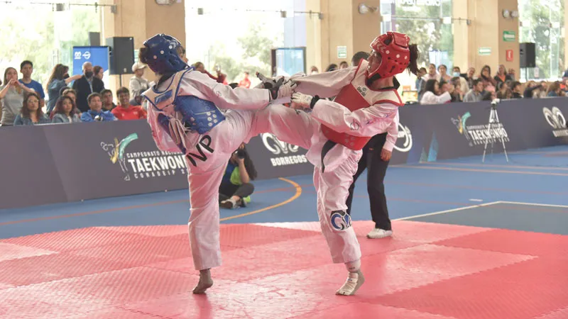 Gana Borrego Sante Fe de taekwondo competencia nacional con cinco oros y m&aacute;s medallas