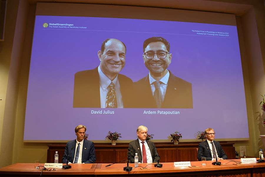 ganadores premio nobel