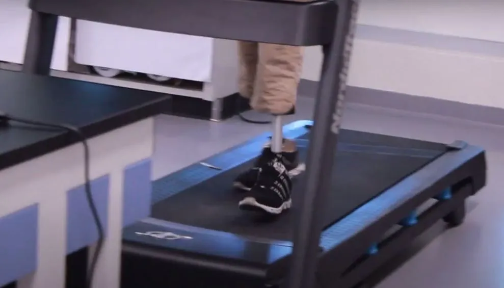 Tecnolog&iacute;as para la Comunidad fue fundada en 2014 por un profesor y 2 alumnos del del Tecnol&oacute;gico de Monterrey, campus Guadalajara.