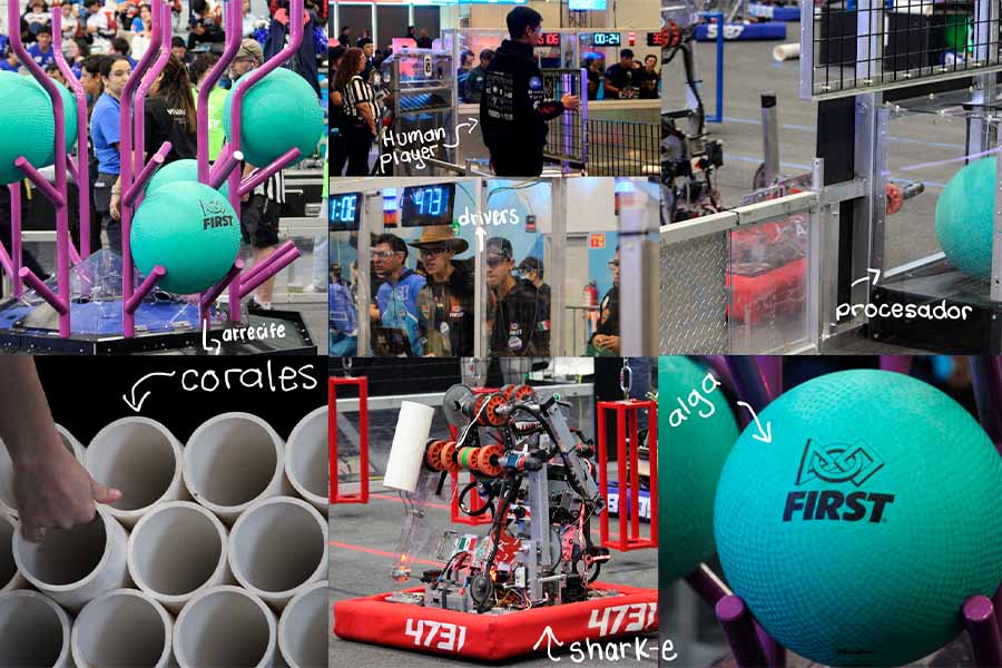 Detalles de la arena en First