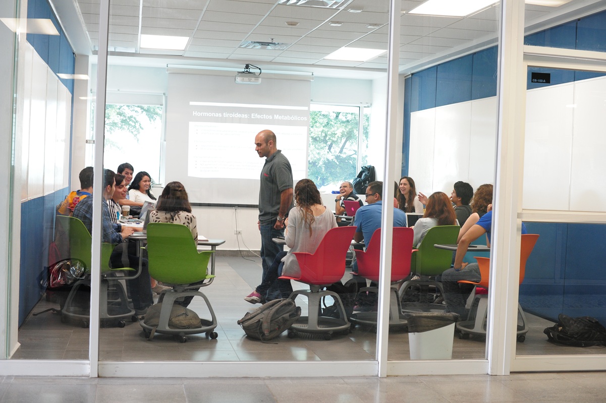 habilidades docentes 2026
