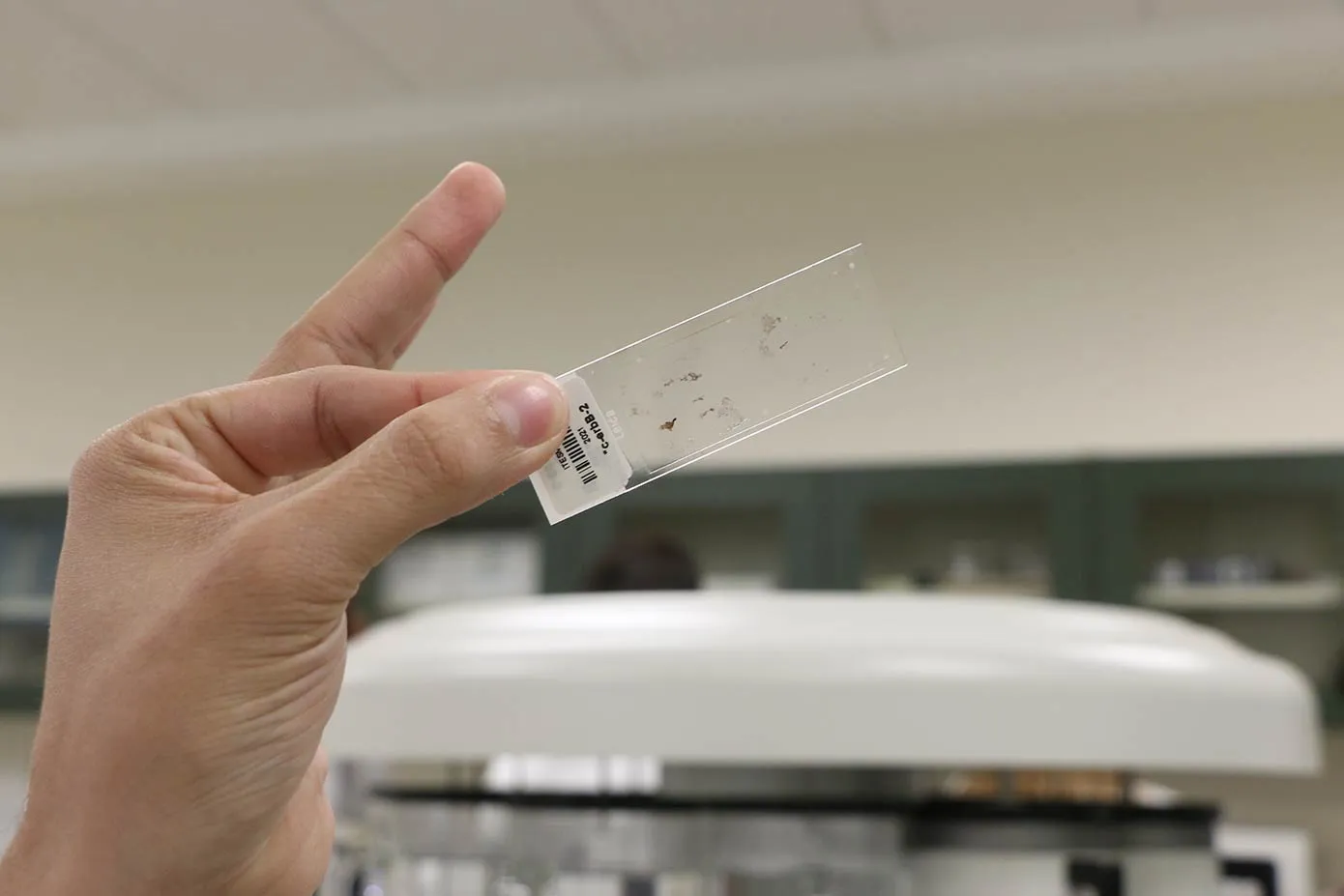 Alumnos aprenden de histopatolog&iacute;a para investigar, en el marco de la Semana de innovaci&oacute;n del Tec Guadalajara.