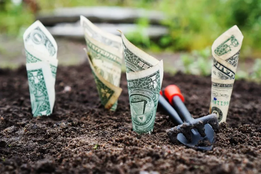 Haz crecer tu dinero administr&aacute;ndolo de la mejor manera 