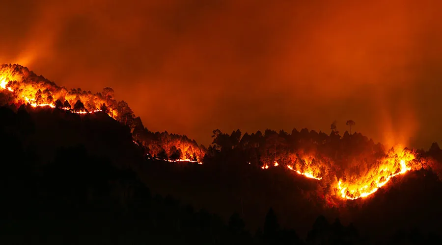 Los incendios forestales han afectado 14 millones de hect&aacute;reas en M&eacute;xico