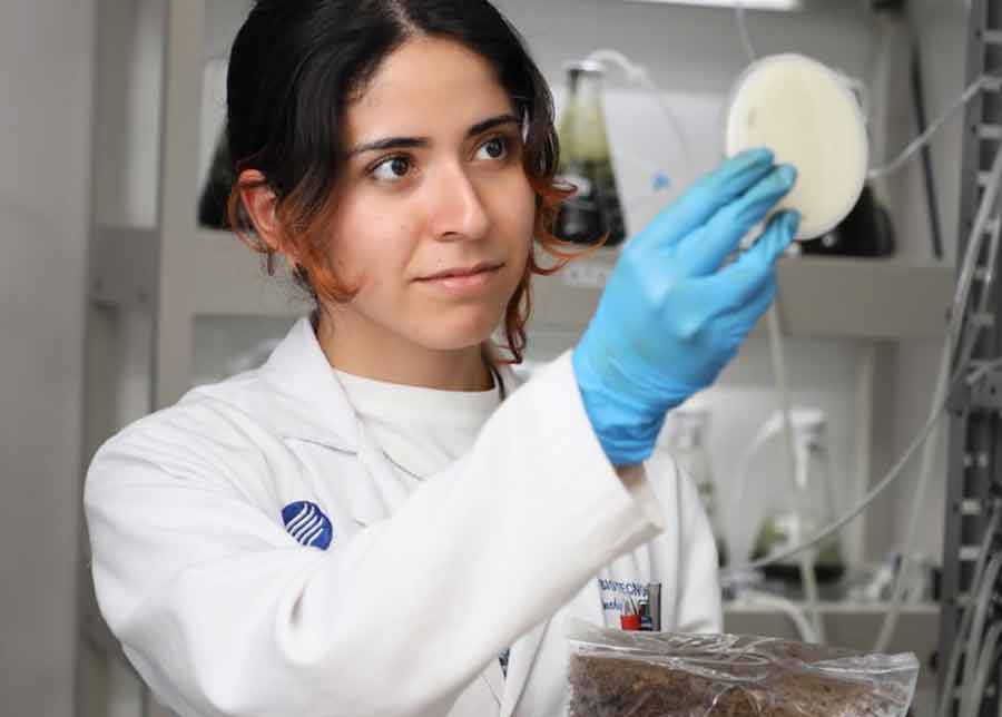 Investigaci&oacute;n hongos comestibles.