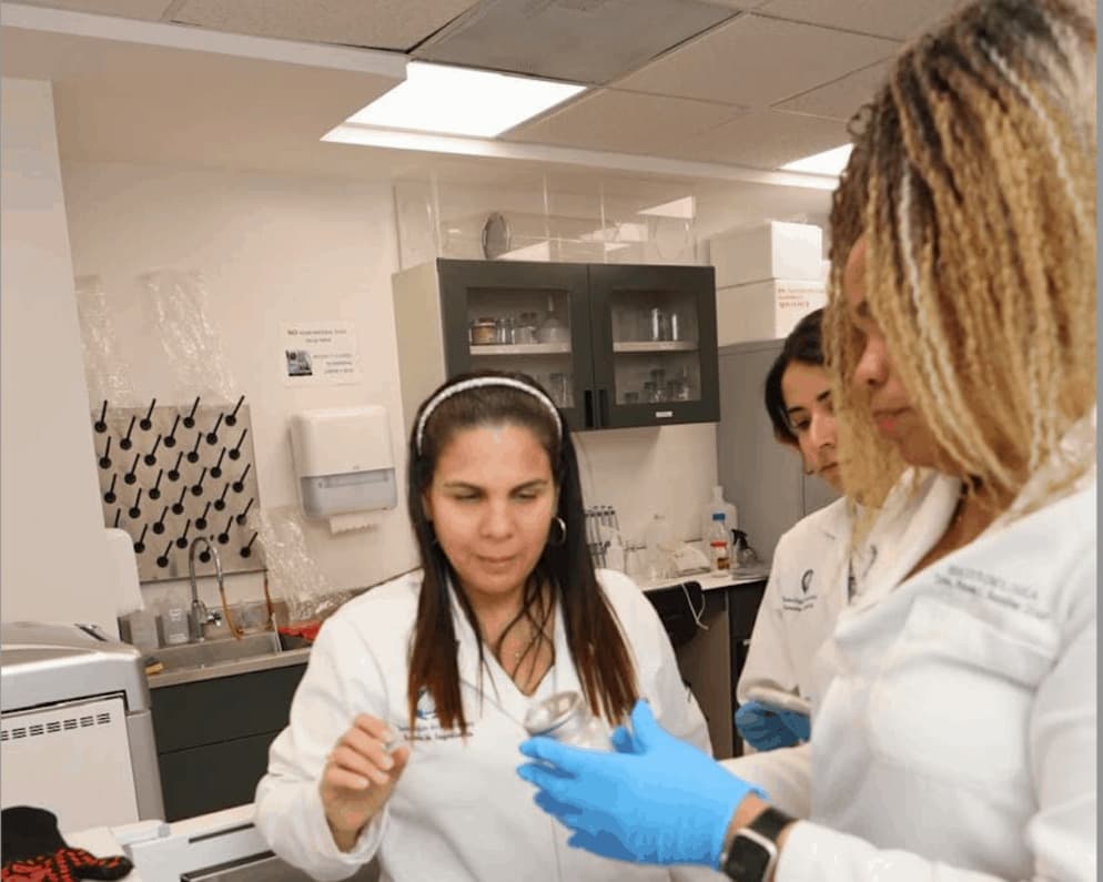 Investigaci&oacute;n hongos comestibles.