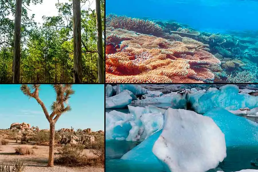 El aumento del calor en el mundo tiene que ver con la alteraci&oacute;n de ecosistemas