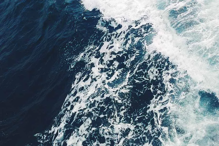 La voz de los dioses, Tec CEM