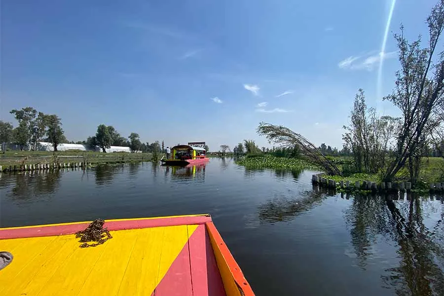 Desarrollo sustentable, Tec región CDMX